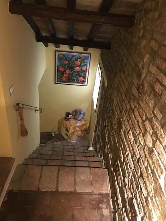 B&B Aurora Domus D'A-Mare Pesaro Kültér fotó